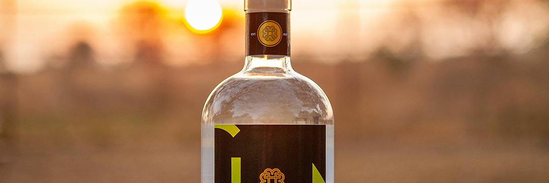 leftover gin